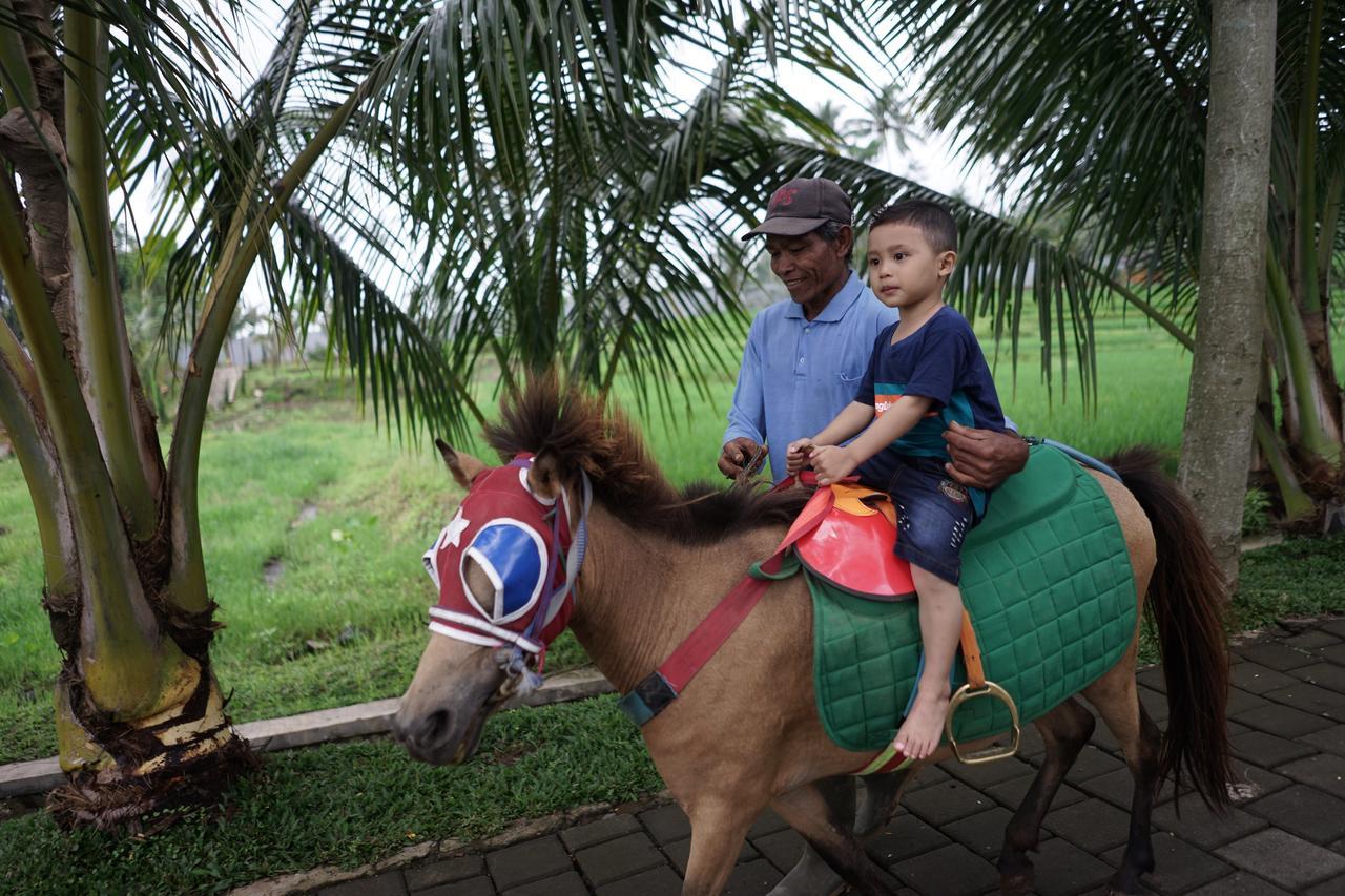 Grand Harvest Resort & Villas Banyuwangi  Exterior foto