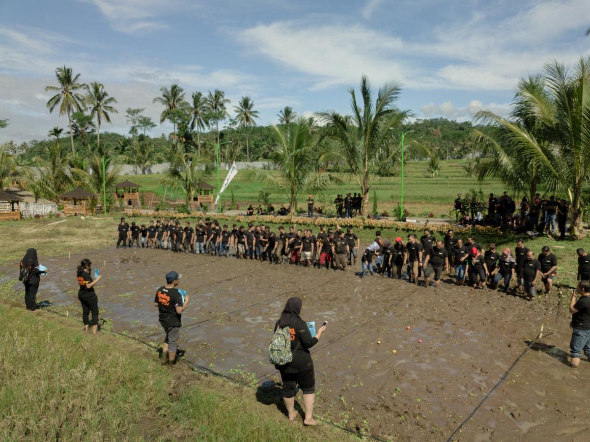 Grand Harvest Resort & Villas Banyuwangi  Exterior foto